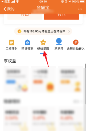 蚂蚁星愿