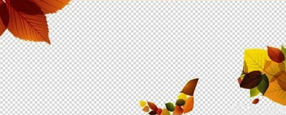 5.png