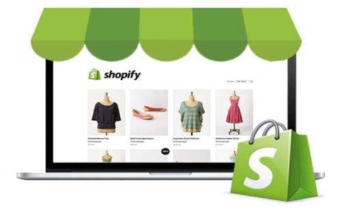 Shopify外贸网站SEO和Adwords哪个好?.jpg