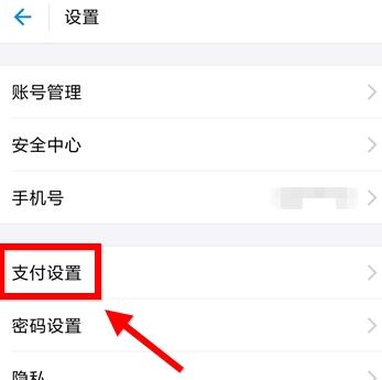 支付设置
