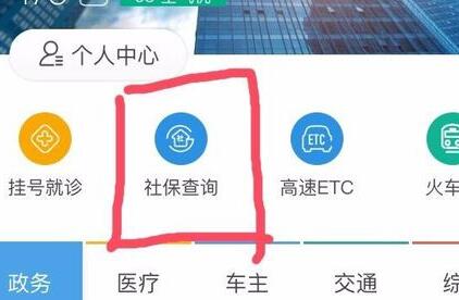 支付宝如何查社保缴费记录