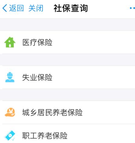 支付宝如何查社保缴费记录