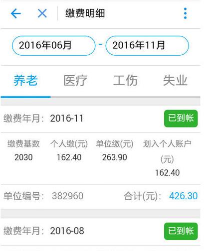 支付宝如何查社保缴费记录