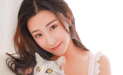 速推宝是什么