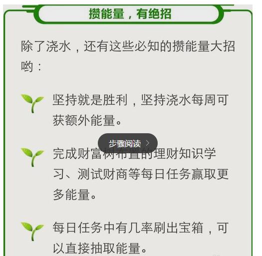 智富树1.jpg