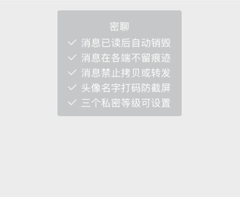 钉钉密聊3.jpg
