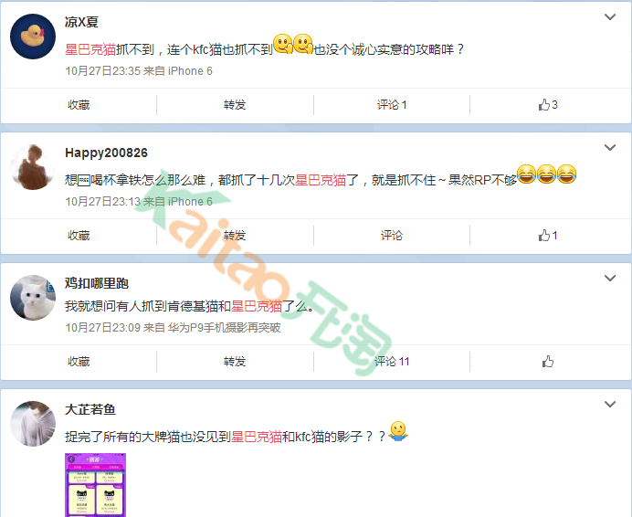 吐槽捉猫