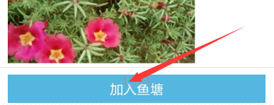 闲鱼发布怎么选择鱼塘 闲鱼发布怎么选择鱼塘