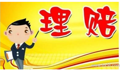支付宝理赔成功率高吗.png