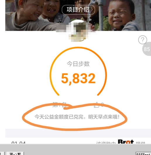 支付宝捐步什么意思4.png