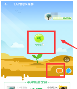 如何让蚂蚁森林时间变晚3.png