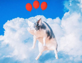 QQ截图20180110085045.png