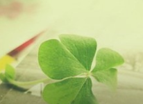 QQ截图20170428101157.png QQ截图20170428101157.png