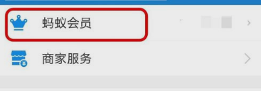 支付宝备用金 支付宝备用金