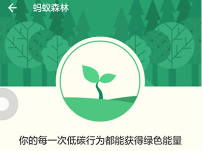 蚂蚁森林