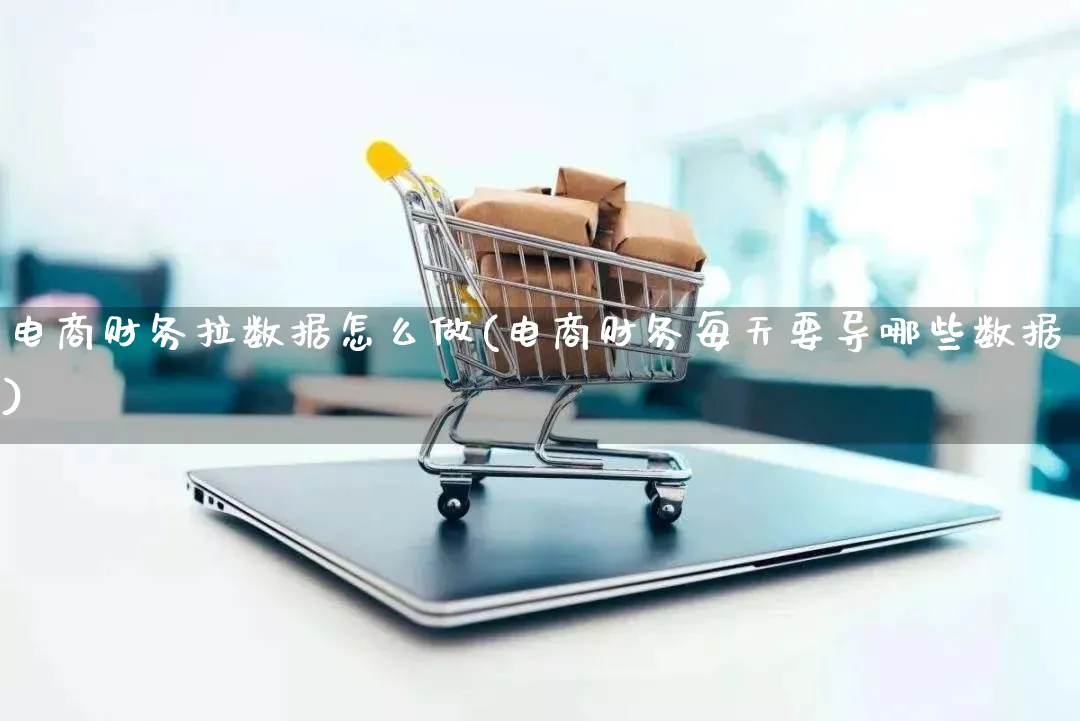 电商财务拉数据怎么做(电商财务每天要导哪些数据)_https://www.qujiang-marathon.com_营销策划_第1张