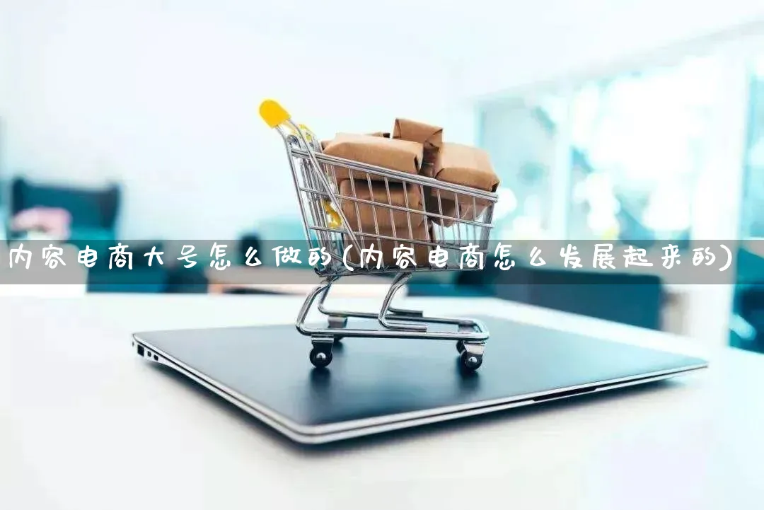 内容电商大号怎么做的(内容电商怎么发展起来的)_https://www.qujiang-marathon.com_市场推广_第1张