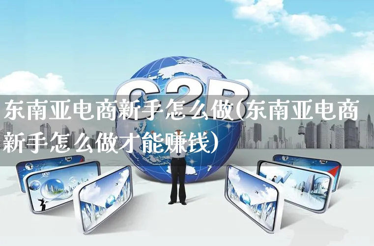 东南亚电商新手怎么做(东南亚电商新手怎么做才能赚钱)_https://www.qujiang-marathon.com_市场推广_第1张