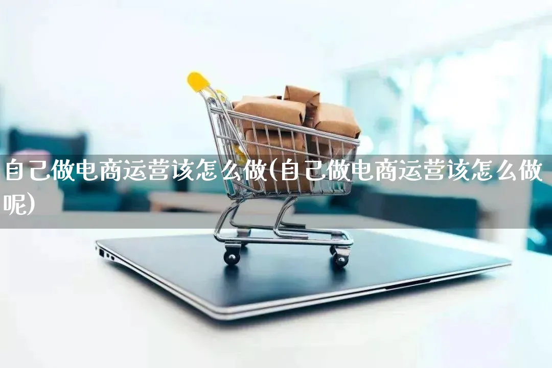 自己做电商运营该怎么做(自己做电商运营该怎么做呢)_https://www.qujiang-marathon.com_市场推广_第1张