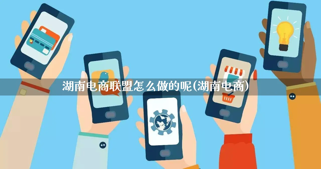 湖南电商联盟怎么做的呢(湖南电商)_https://www.qujiang-marathon.com_市场推广_第1张