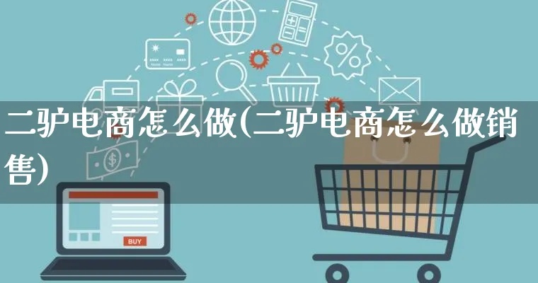 二驴电商怎么做(二驴电商怎么做销售)_https://www.qujiang-marathon.com_电商资讯_第1张
