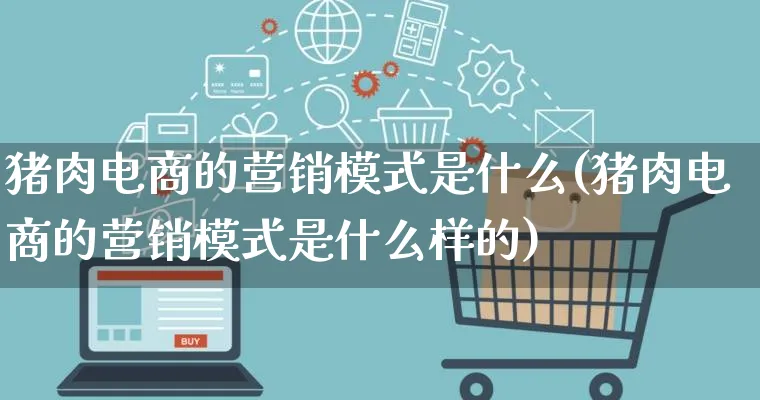 猪肉电商的营销模式是什么(猪肉电商的营销模式是什么样的)_https://www.qujiang-marathon.com_营销策划_第1张