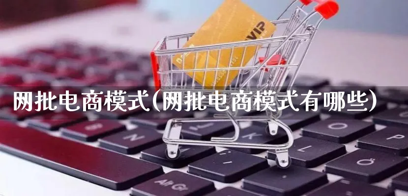 网批电商模式(网批电商模式有哪些)_https://www.qujiang-marathon.com_运营技巧_第1张
