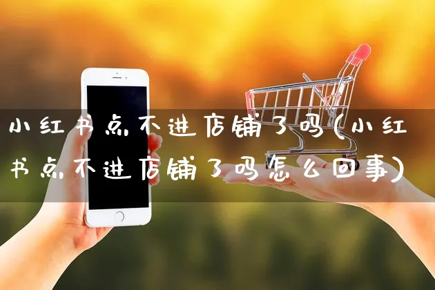 小红书点不进店铺了吗(小红书点不进店铺了吗怎么回事)_https://www.czttao.com_小红书_第1张