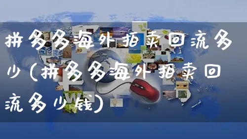 拼多多海外拍卖回流多少(拼多多海外拍卖回流多少钱)_https://www.czttao.com_亚马逊电商_第1张