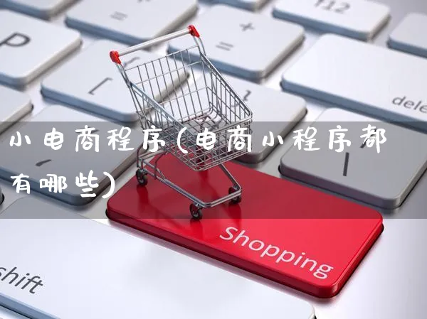 小电商程序(电商小程序都有哪些)_https://www.czttao.com_开店技巧_第1张