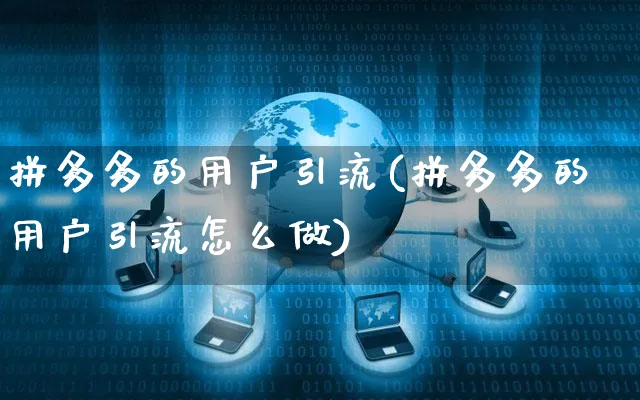 拼多多的用户引流(拼多多的用户引流怎么做)_https://www.czttao.com_拼多多电商_第1张
