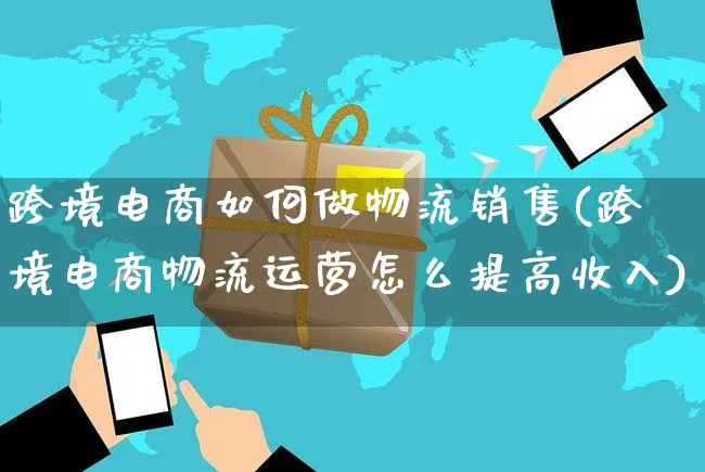 跨境电商如何做物流销售(跨境电商物流运营怎么提高收入)_https://www.czttao.com_开店技巧_第1张