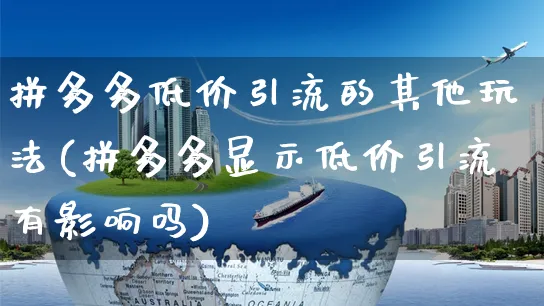 拼多多低价引流的其他玩法(拼多多显示低价引流有影响吗)_https://www.czttao.com_拼多多电商_第1张