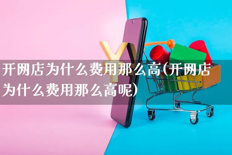 开网店为什么费用那么高(开网店为什么费用那么高呢)_https://www.czttao.com_店铺规则_第1张