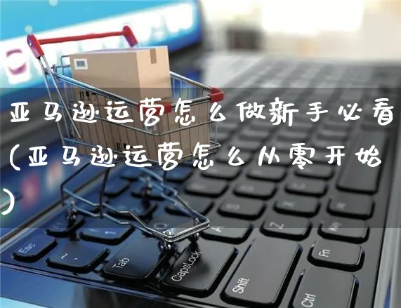 亚马逊运营怎么做新手必看(亚马逊运营怎么从零开始)_https://www.czttao.com_亚马逊电商_第1张