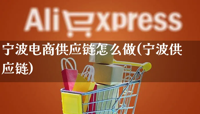 宁波电商供应链怎么做(宁波供应链)_https://www.czttao.com_电商运营_第1张