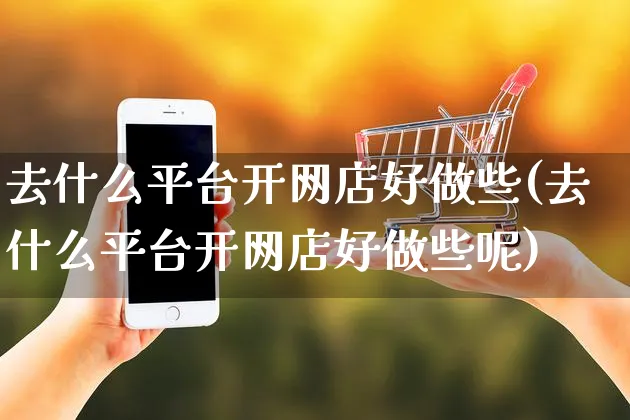 去什么平台开网店好做些(去什么平台开网店好做些呢)_https://www.czttao.com_开店技巧_第1张
