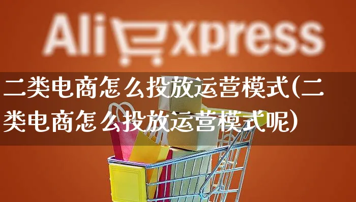 二类电商怎么投放运营模式(二类电商怎么投放运营模式呢)_https://www.czttao.com_电商问答_第1张