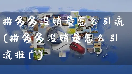 拼多多没销量怎么引流(拼多多没销量怎么引流推广)_https://www.czttao.com_拼多多电商_第1张