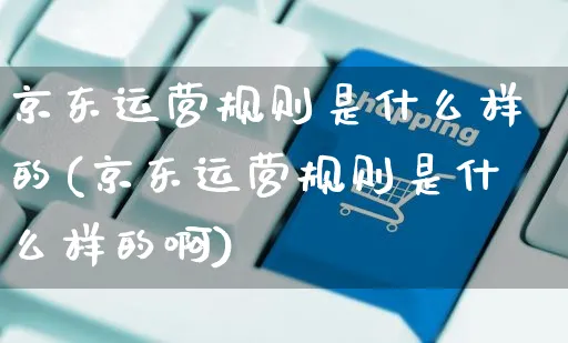 京东运营规则是什么样的(京东运营规则是什么样的啊)_https://www.czttao.com_京东电商_第1张