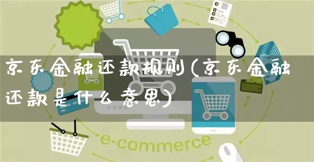 京东金融还款规则(京东金融还款是什么意思)_https://www.czttao.com_京东电商_第1张