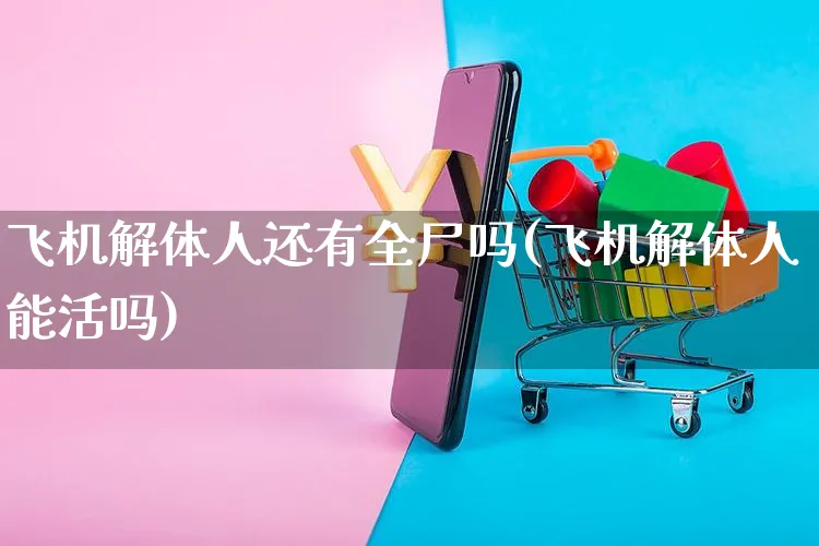飞机解体人还有全尸吗(飞机解体人能活吗)_https://www.czttao.com_闲鱼电商_第1张