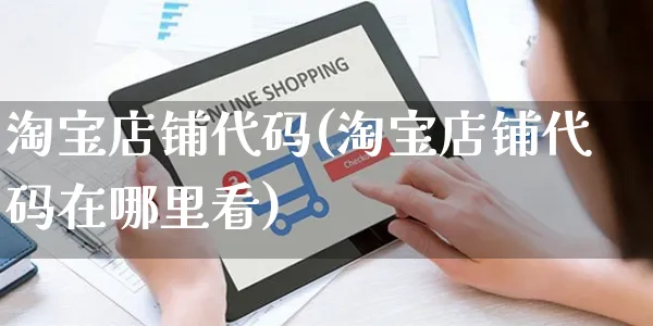 淘宝店铺代码(淘宝店铺代码在哪里看)_https://www.czttao.com_淘宝电商_第1张