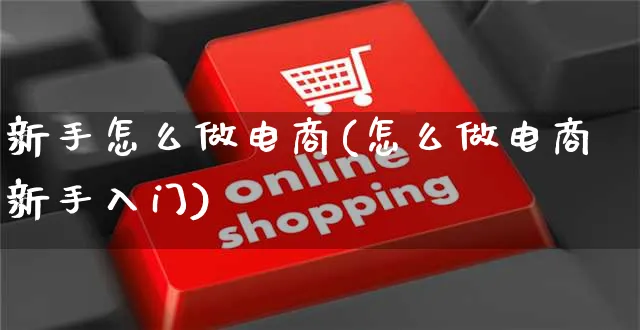 新手怎么做电商(怎么做电商新手入门)_https://www.czttao.com_京东电商_第1张
