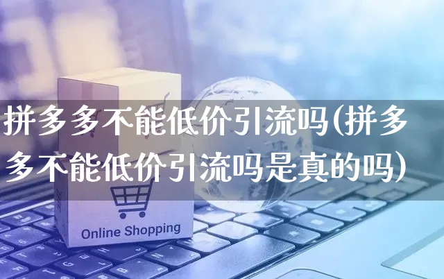 拼多多不能低价引流吗(拼多多不能低价引流吗是真的吗)_https://www.czttao.com_拼多多电商_第1张