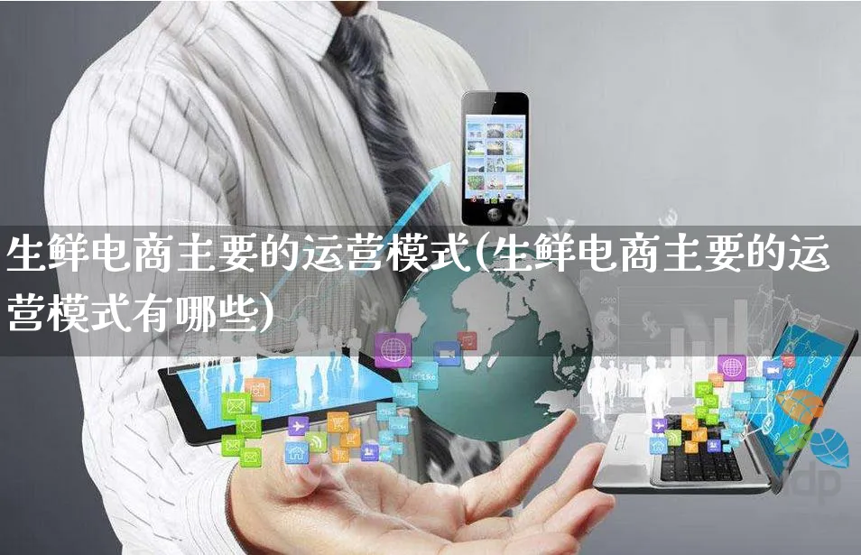 生鲜电商主要的运营模式(生鲜电商主要的运营模式有哪些)_https://www.czttao.com_电商问答_第1张
