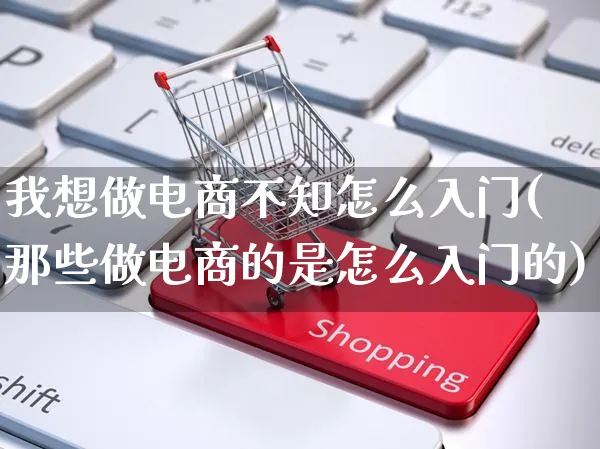 我想做电商不知怎么入门(那些做电商的是怎么入门的)_https://www.czttao.com_京东电商_第1张