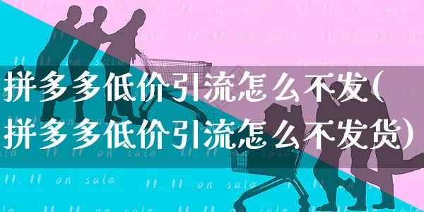 拼多多低价引流怎么不发(拼多多低价引流怎么不发货)_https://www.czttao.com_拼多多电商_第1张
