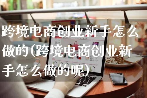 跨境电商创业新手怎么做的(跨境电商创业新手怎么做的呢)_https://www.czttao.com_店铺装修_第1张