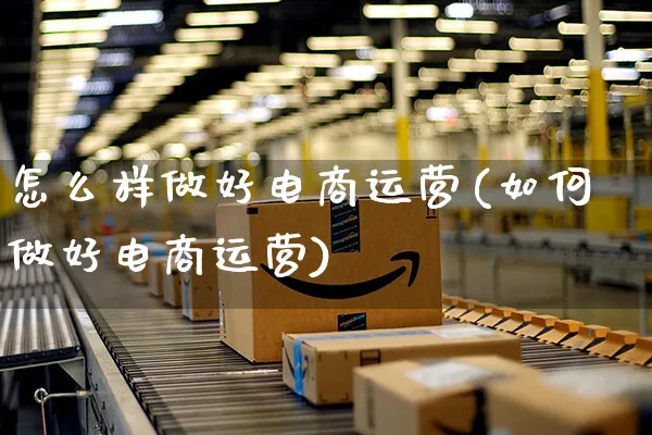 怎么样做好电商运营(如何做好电商运营)_https://www.czttao.com_电商问答_第1张